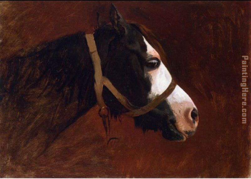 Profile of a Horse painting - Jean-Leon Gerome Profile of a Horse art painting